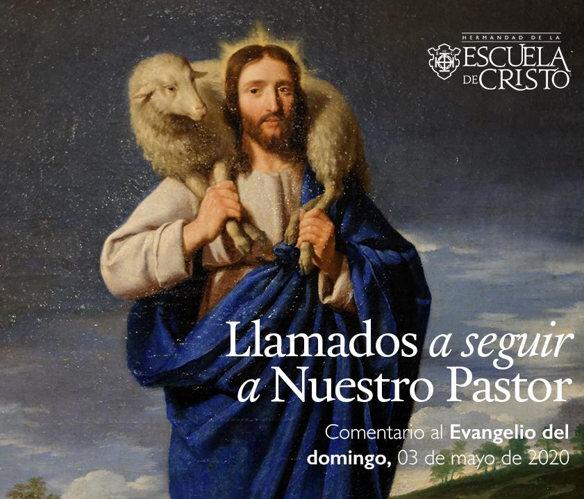 Llamados a Seguir a Nuestro Pastor
